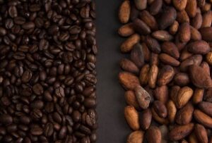 Jual Kopi Organik Asli