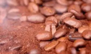 Kopi Arabika Premium