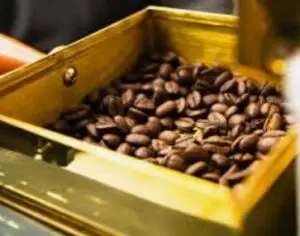 Kopi Temanggung Natural Process